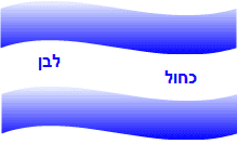 שיווק מוצרים כחול לבן באינטרנט